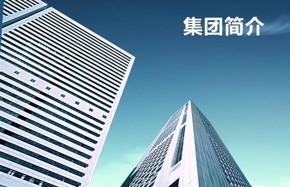 集團(tuán)簡(jiǎn)介.jpg